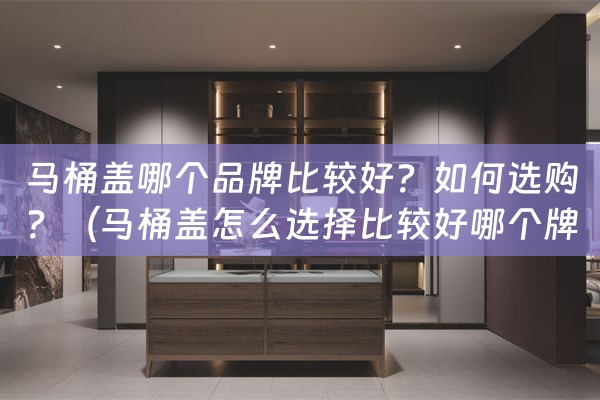 马桶盖哪个品牌比较好？如何选购？（马桶盖怎么选择比较好哪个牌子好）