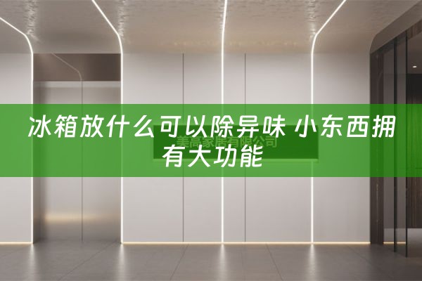 冰箱放什么可以除异味 小东西拥有大功能