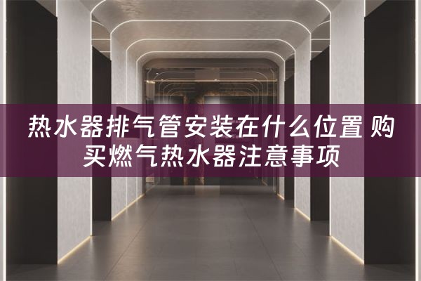 热水器排气管安装在什么位置 购买燃气热水器注意事项