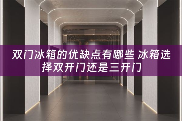 双门冰箱的优缺点有哪些 冰箱选择双开门还是三开门