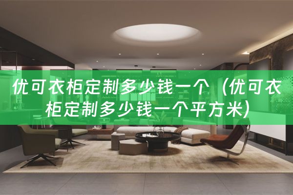 优可衣柜定制多少钱一个（优可衣柜定制多少钱一个平方米）