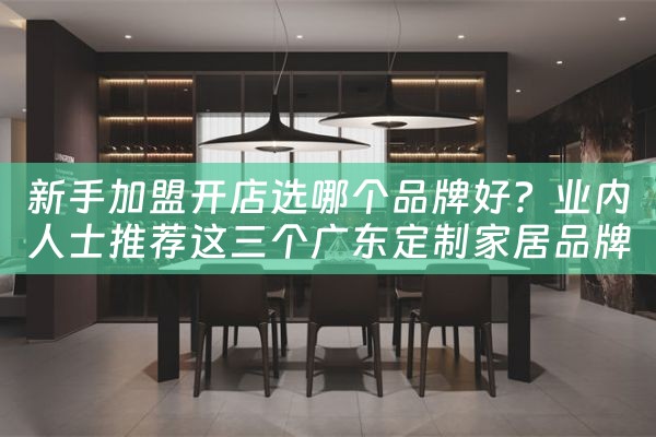 新手加盟开店选哪个品牌好？业内人士推荐这三个广东定制家居品牌