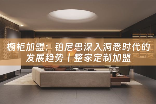 橱柜加盟：铂尼思深入洞悉时代的发展趋势丨整家定制加盟