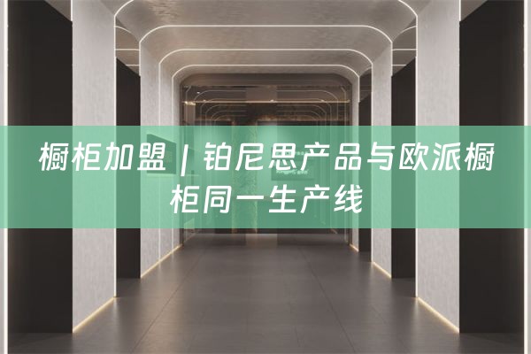 橱柜加盟｜铂尼思产品与欧派橱柜同一生产线