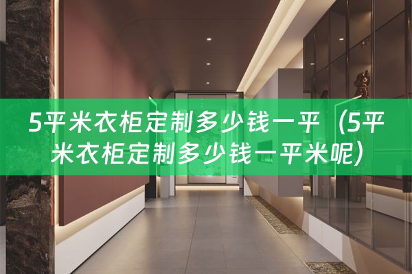 5平米衣柜定制多少钱一平（5平米衣柜定制多少钱一平米呢）