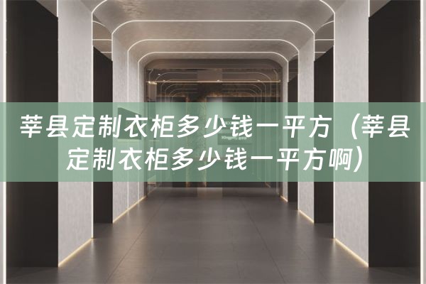 莘县定制衣柜多少钱一平方（莘县定制衣柜多少钱一平方啊）