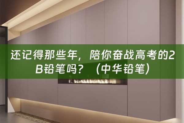 还记得那些年，陪你奋战高考的2B铅笔吗？（中华铅笔）