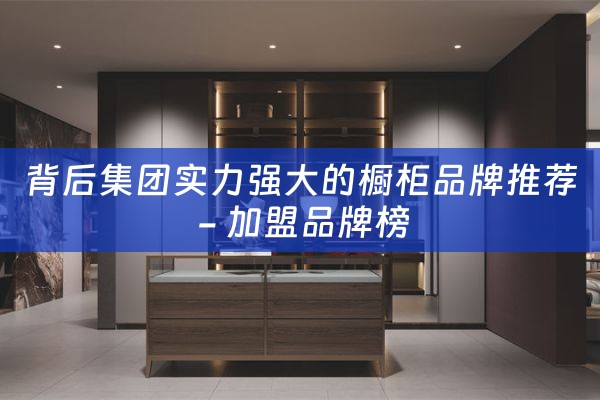 背后集团实力强大的橱柜品牌推荐 - 加盟品牌榜