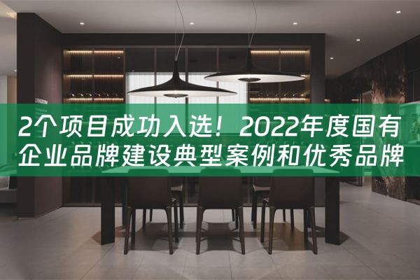 2个项目成功入选！2022年度国有企业品牌建设典型案例和优秀品牌故事公布