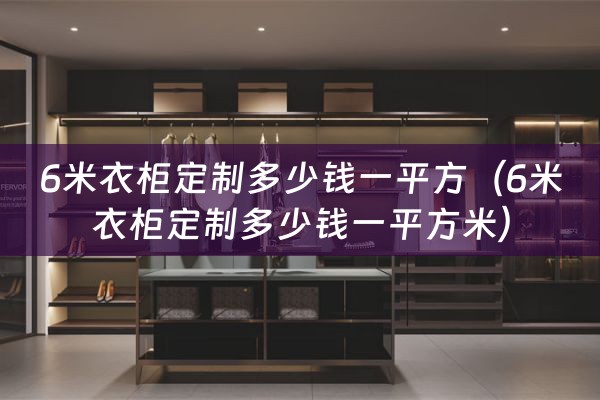 6米衣柜定制多少钱一平方（6米衣柜定制多少钱一平方米）