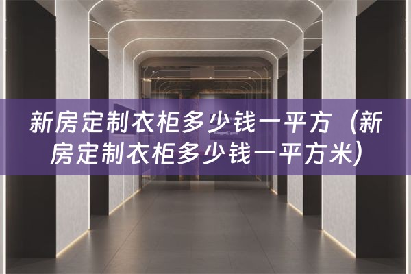 新房定制衣柜多少钱一平方（新房定制衣柜多少钱一平方米）