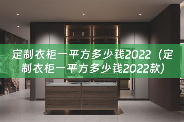 定制衣柜一平方多少钱2022（定制衣柜一平方多少钱2022款）