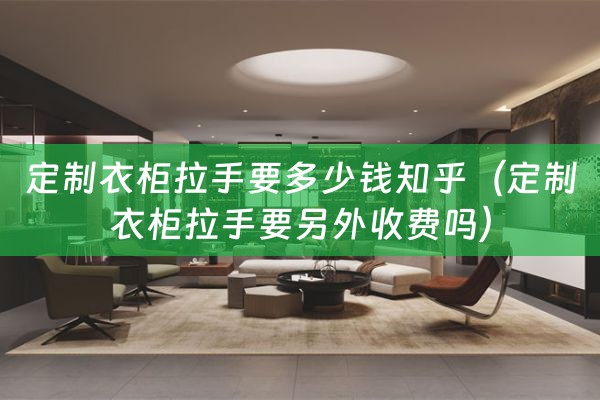 定制衣柜拉手要多少钱知乎（定制衣柜拉手要另外收费吗）