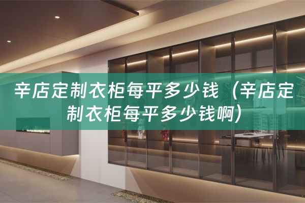 辛店定制衣柜每平多少钱（辛店定制衣柜每平多少钱啊）