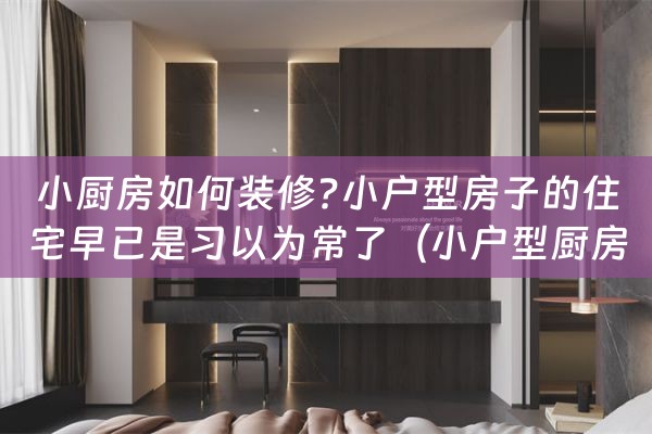 小厨房如何装修?小户型房子的住宅早已是习以为常了（小户型厨房装修, 50条经验送给正准备装修的你）